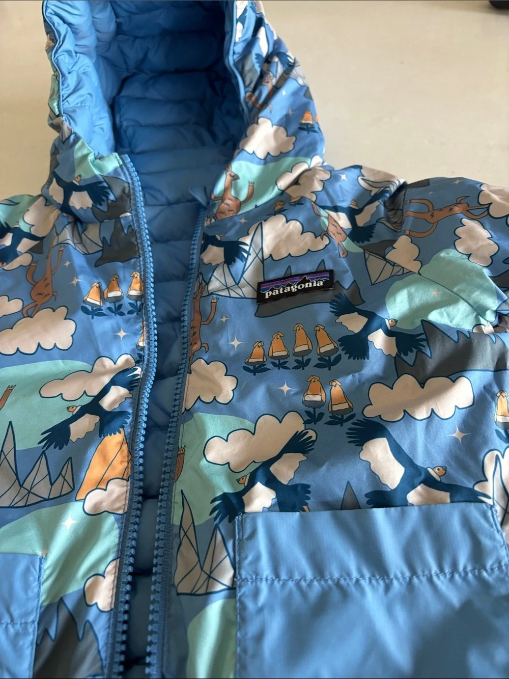Patagonia Light Blue Kids Puffer Jacket with Hood